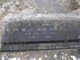 image of grave number 489484